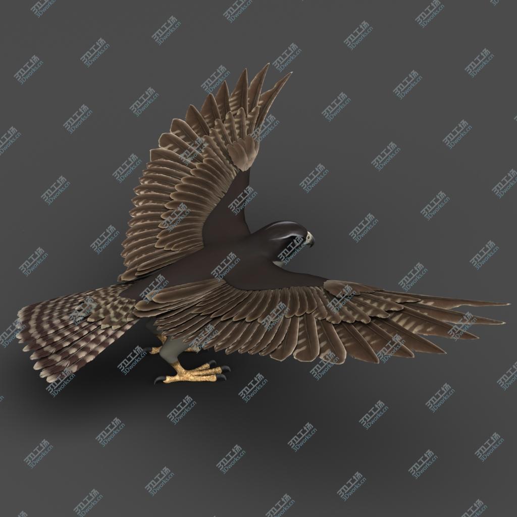 images/goods_img/202105071/Falcon 3D model/3.jpg